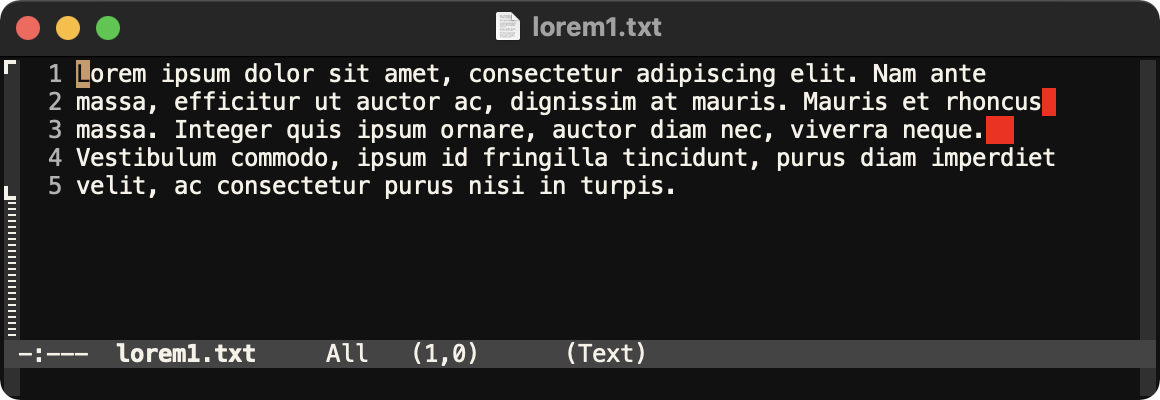 Screenshot of whitespace highlighted in Emacs