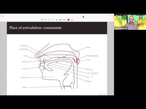 Linguistics - Phonology and Morphology