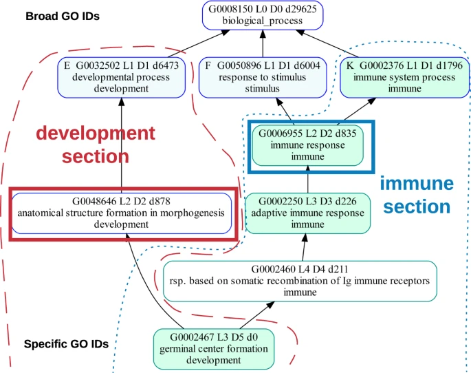 GOATOOLS example