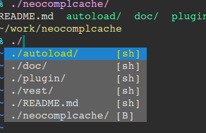 Completion with vimshell(http://github.com/Shougo/vimshell).