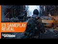 The Division