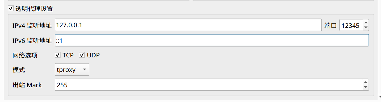 Qv2ray config example