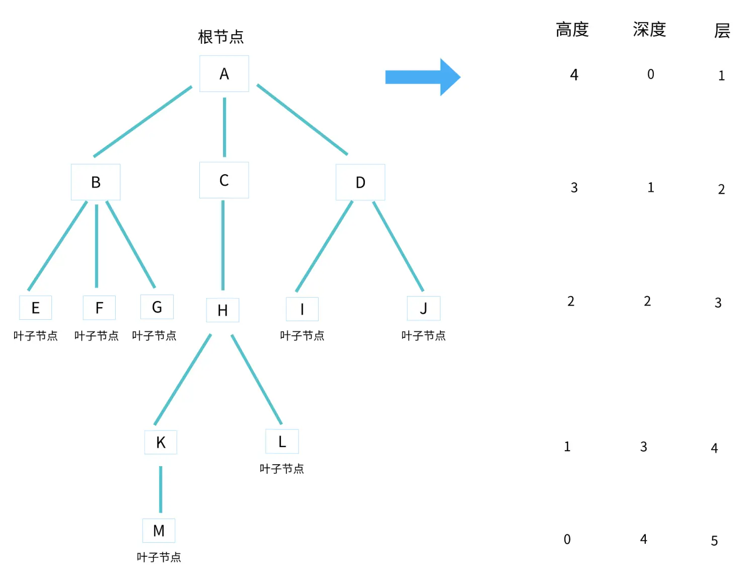 树的高度、深度、层