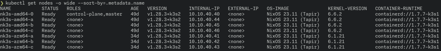 k3s Nodes