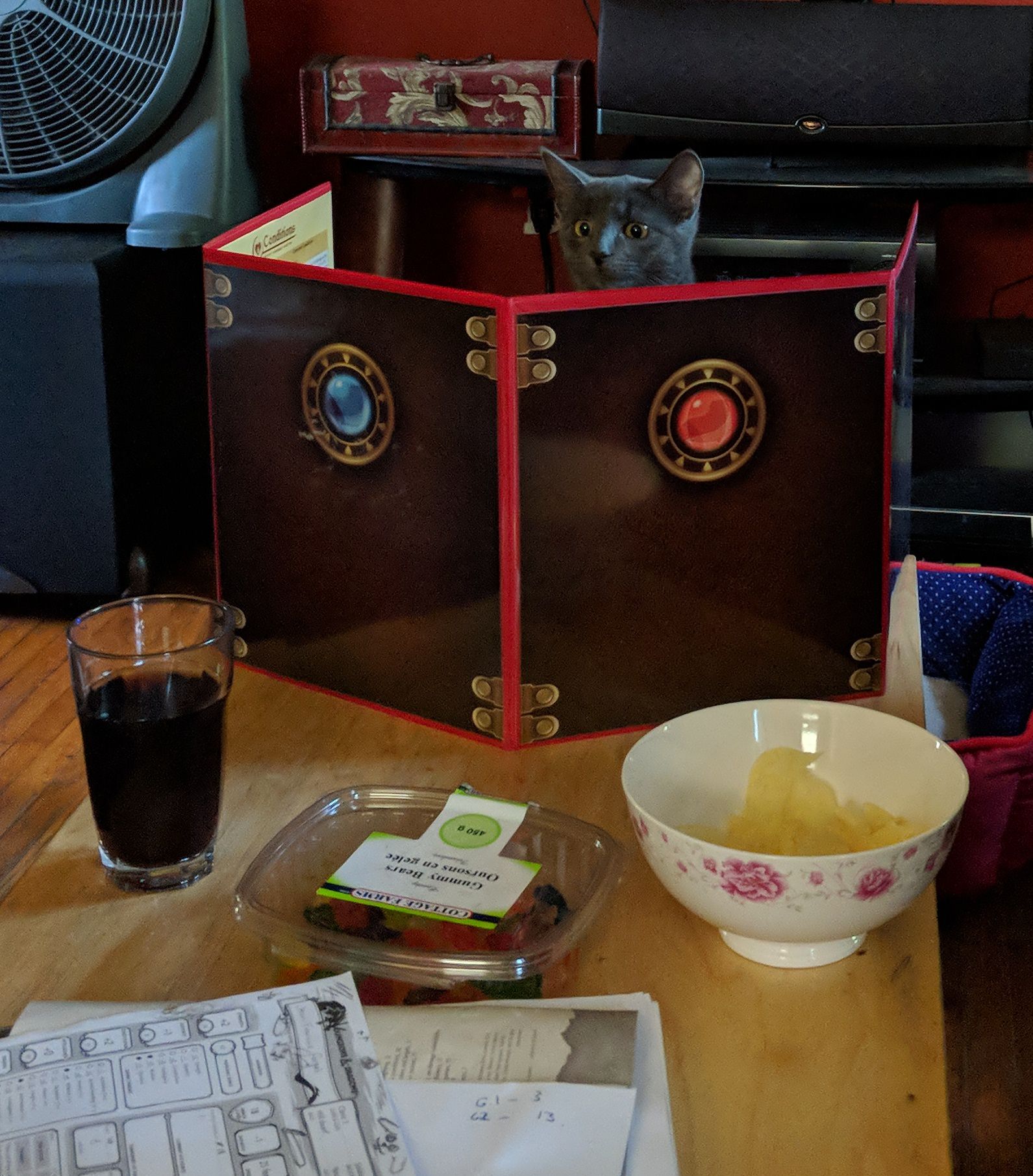 Dungeon Master Kitty