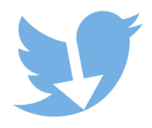 Twitter Video Downloader - Download Twitter Videos in MP4