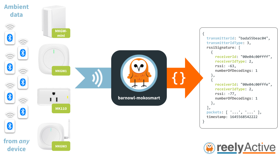 Overview of barnowl-mokosmart