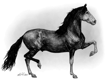 Horse