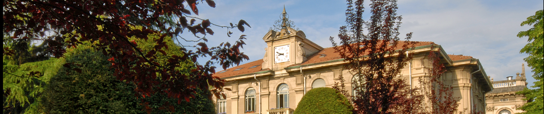 Politecnico di Milano