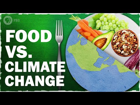 Our Food System is Rigged feat. Sheril Kirshenbaum | Hot Mess