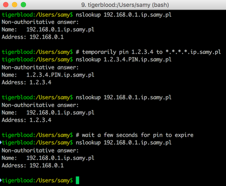 DNS Rebinding