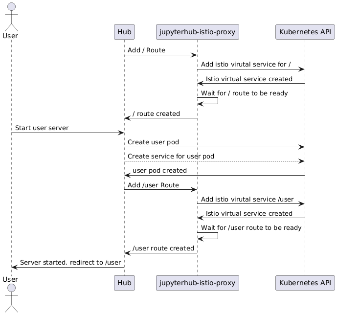 jupyterhub-istio-proxy