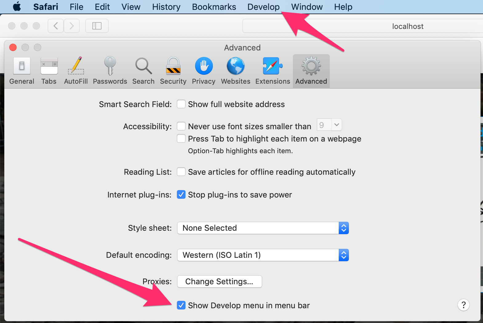 Advanced Safari Preferences Pane