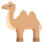 🐫