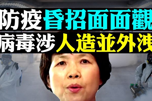 夏小强：李兰娟和郑树森家族的95家公司