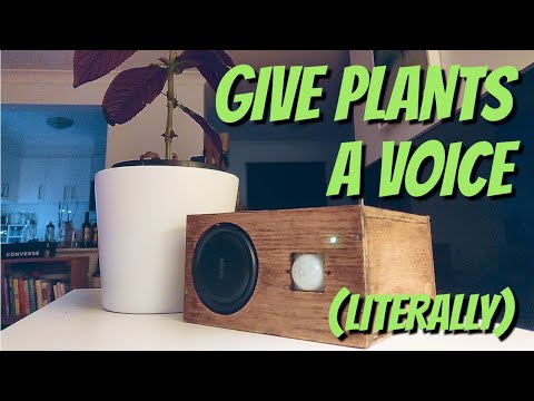 Demo of Give Plants a Voice