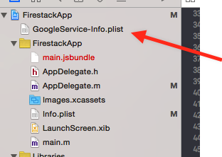 GoogleService-Info.plist