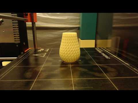 Double Spiral Vase Timelapse Taken with Octolapse