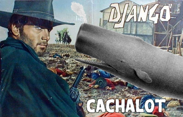 https://raw.github.com/noripyt/django-cachalot/master/django-cachalot.jpg