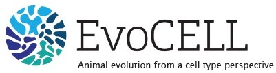 EvoCELLlogo