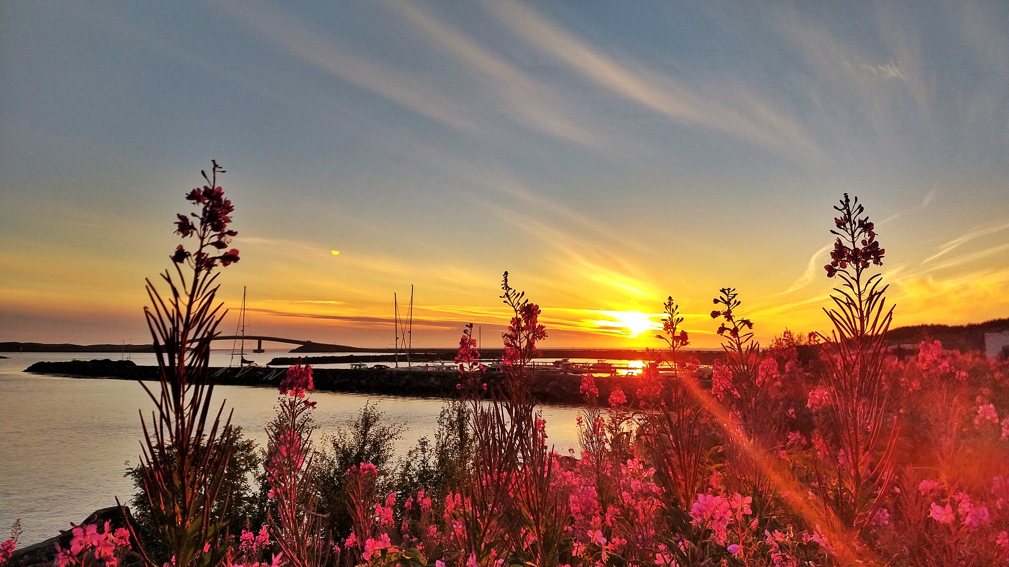 Stokkøya