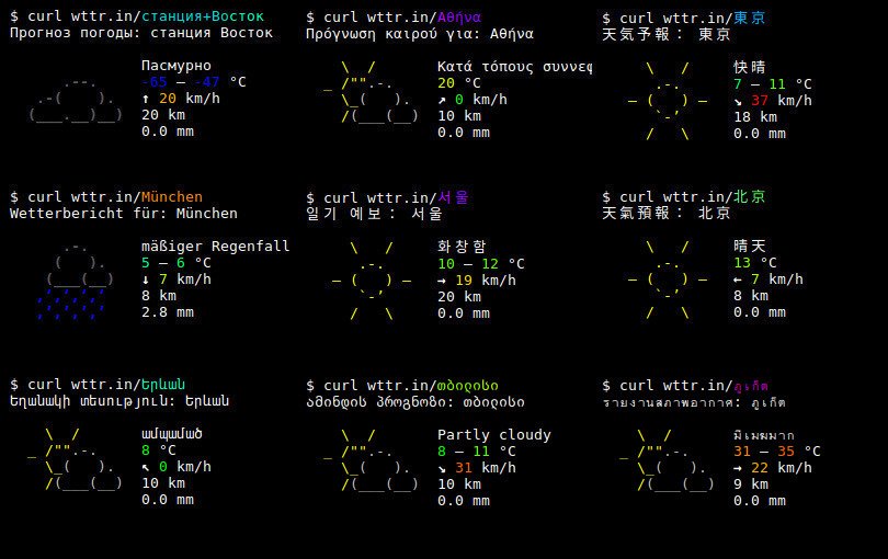 Queries to wttr.in in various languages