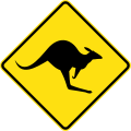 Kangaroo crossing