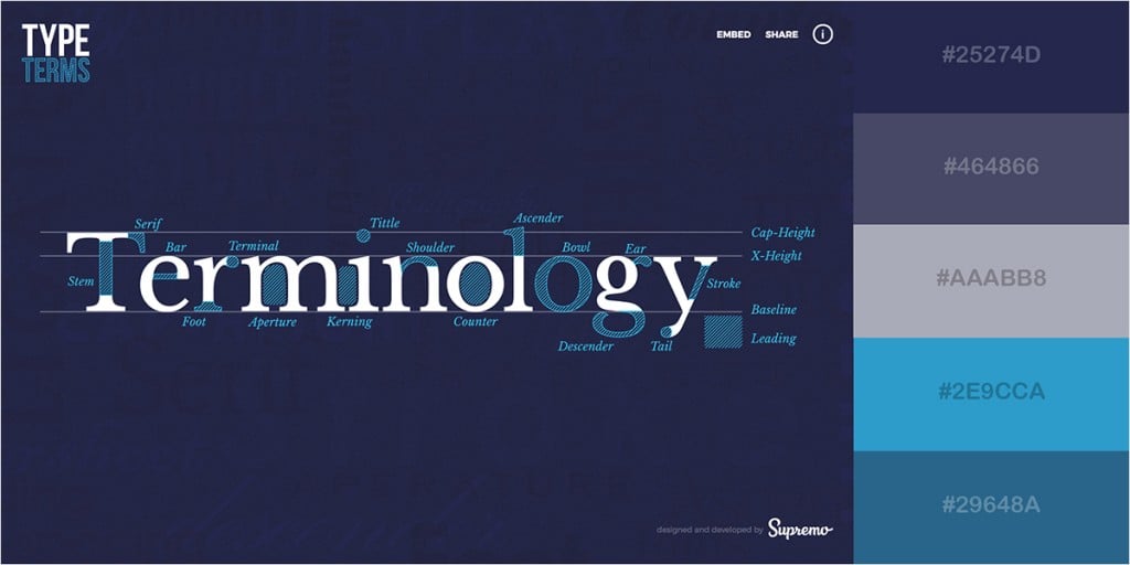 terminology