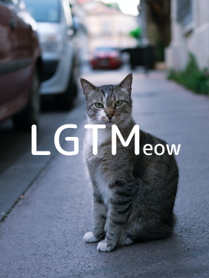 LGTMeow