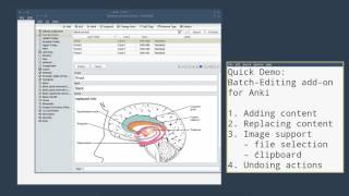 YouTube: Anki add-on demo: Batch Note Editing