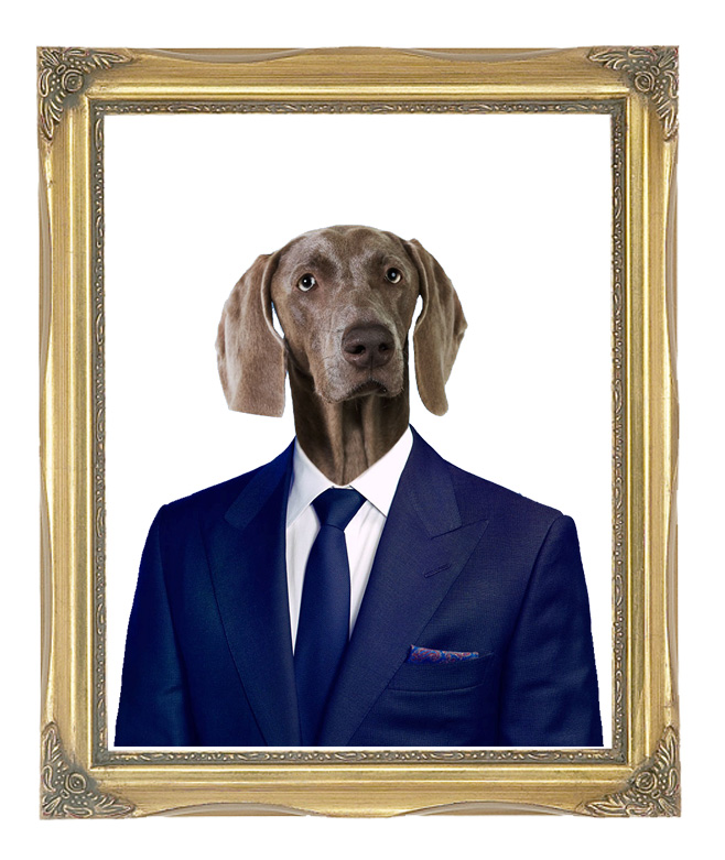 dog ceo