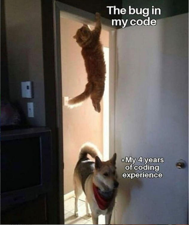 Software Development Meme